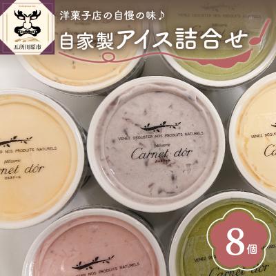 ふるさと納税 五所川原市 洋菓子店自慢のお手製 アイス 詰め合わせ 100ml×8個入 全6種