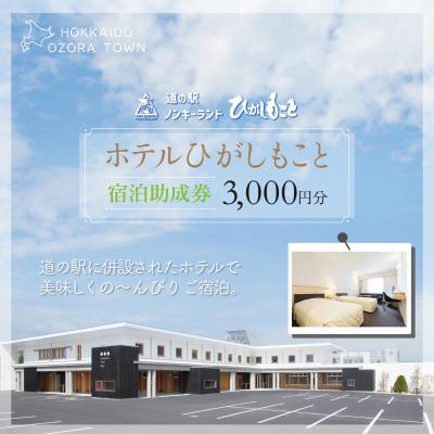 ふるさと納税 大空町 ホテルひがしもこと 宿泊助成券(3,000円分)