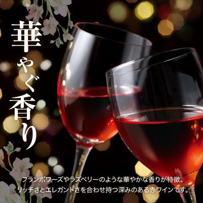 ふるさと納税 余市町 ピノ・ノワール プライベートリザーブ 2020【キャメルファームワイナリー】_Y020-0495 　 発送時期：30日以内に発送予定　