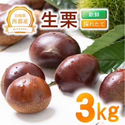 ふるさと納税 西都市 新鮮朝どれ国産生栗 3kg 西都市産[先行受付][2309]