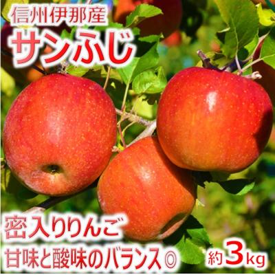 ふるさと納税 伊那市 信州のサンふじ 3キロ!(りんご・リンゴ・林檎)