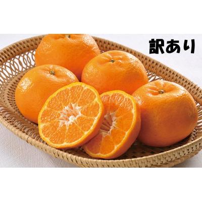 ふるさと納税 紀宝町 訳あり S-3L サイズおまかせ 石本農園のポンカン 4.5kg [mis016]