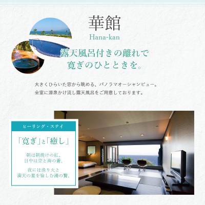 ふるさと納税 天草市 イルカの飛行機!空の旅とホテルアレグリアガーデンズ天草華館1泊2食付ペア宿泊券_S035-008Aの画像