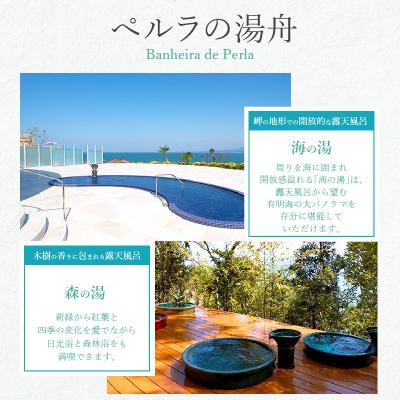 ふるさと納税 天草市 イルカの飛行機!空の旅とホテルアレグリアガーデンズ天草華館1泊2食付ペア宿泊券_S035-008Aの画像