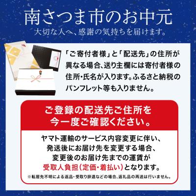 ふるさと納税 南さつま市 【お中元ギフト】【鹿児島県産 鰻】うなぎ専門店「万のせ」 うなぎ蒸しおむすび9個 　
