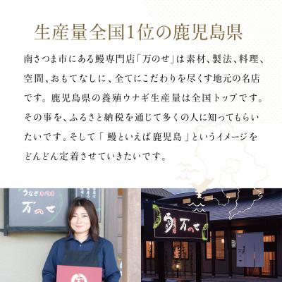 ふるさと納税 南さつま市 【お中元ギフト】【鹿児島県産 鰻】うなぎ専門店「万のせ」 うなぎ蒸しおむすび9個 　