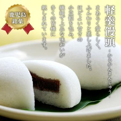 ふるさと納税 鹿児島市 【7営業日以内に発送】かるかん元祖明石屋 薩摩