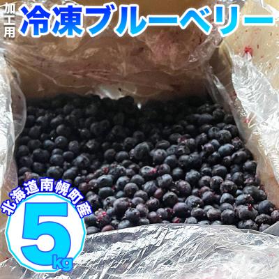 ふるさと納税 南幌町 北海道産 たっぷり使える 冷凍ブルーベリー 5kg