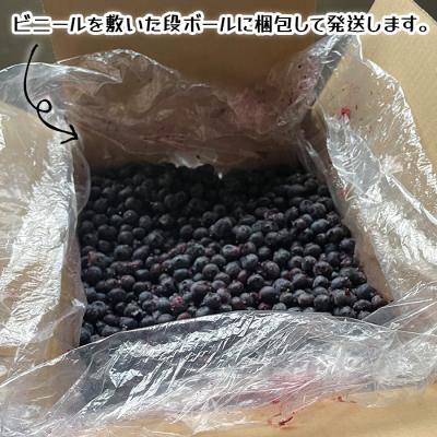 ふるさと納税 南幌町 北海道産 たっぷり使える 冷凍ブルーベリー 5kg