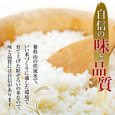 「人气商品」 ふるさと納税 立科町 【定期便6回(奇数月)発送】信州たてしな産 御泉水米こしひかり特別栽培米10kg (10kg×1袋) 【QGW8131925573】(29640円)