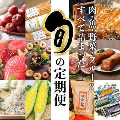 ふるさと納税 碧南市 肉・魚・野菜・フルーツすべて詰まった旬の定期便(全12回お届け)