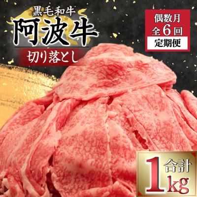 ふるさと納税 小松島市 定期便 偶数月 6回 牛肉 切り落とし 1kg × 6ヵ月 ロース モモ カタ