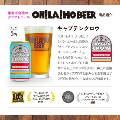 ふるさと納税 東御市 【3回定期便】オラホビール キャプテンクロウ10本 