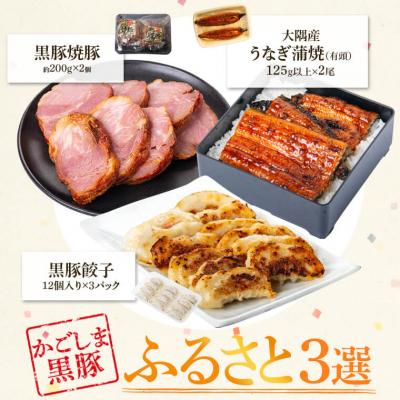 ふるさと納税 肝付町 ふるさと3選(鰻 約150g、焼豚 約400g、 餃子 3パック)