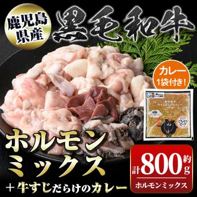 ふるさと納税 肝付町 黒毛和牛ホルモンミックス(計800g)+黒毛和牛牛すじだらけのカレー(1袋)セット!