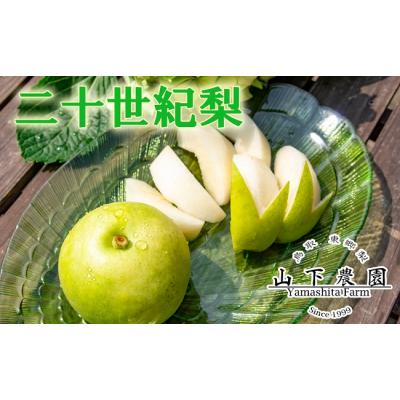 ふるさと納税 湯梨浜町 湯梨浜東郷名産 二十世紀5kg(205M.)