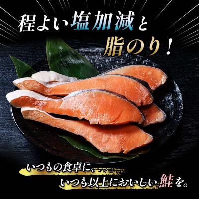 ふるさと納税 釧路市 【特選】特盛銀鮭剥き身 約3kg 年魚 さけ 銀鮭 ぎんしゃけ 上げ米の召し連れる 北海道 F4F-2252