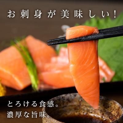 【新版】 ふるさと納税 知内町 【定期便 6カ月】 ロイヤルサーモン 1kg トラウトサーモン ☆小分け 刺身 【1086450734】(39600円)