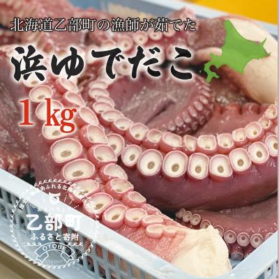 ふるさと納税 乙部町 採れたてのタコを漁師が浜ゆで!食感絶妙 お刺身で[漁師の浜ゆでたこ:約1kg]
