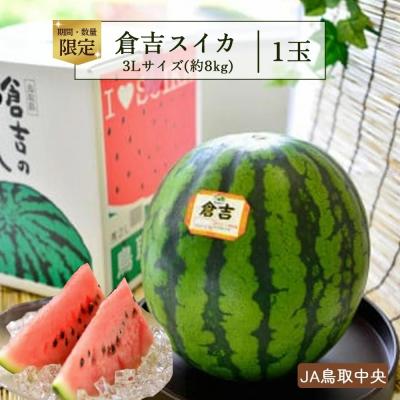 ふるさと納税 倉吉市 倉吉スイカ1玉(JA鳥取中央) 3Lサイズ