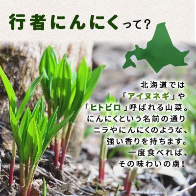 ふるさと納税 釧路市 行者にんにく醤油漬120g 3袋セット 北海道 山菜 ヒトビロ アイヌネギ F4F-2220の画像