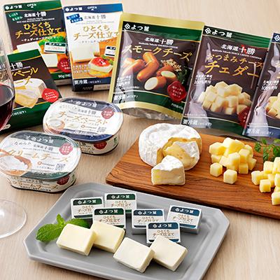 ふるさと納税 上士幌町 北海道よつ葉 チーズの詰め合わせ 計10品 ギフト