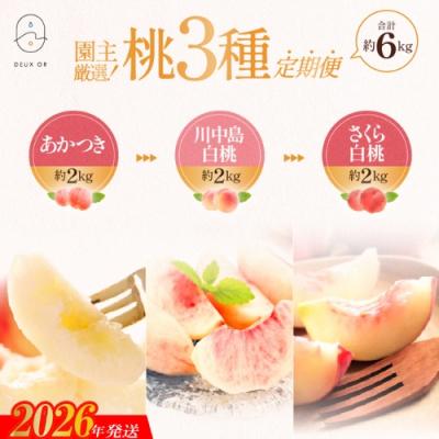 ふるさと納税 福島市 園主厳選!もも3種定期便 各約2kg[2026年発送 先行受付]No.2674