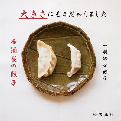 ふるさと納税 当麻町 大きめ居酒屋餃子 1200g 九州・沖縄配送不可 【AN-002】_1
