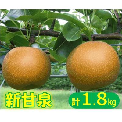 ふるさと納税 米子市 新甘泉梨1.8kg (しんかんせん 梨) 冷蔵便