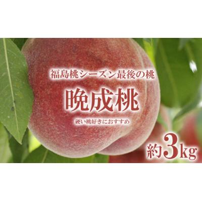 ふるさと納税 福島市 福島桃シーズン最後の桃 晩成桃 約3kg[2024年発送分]No.2689