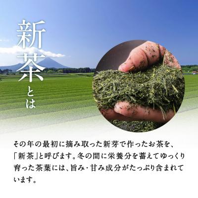 ふるさと納税 鹿児島市 【新茶】【6/30までの申込限定】茶問屋のあまくておいしい鹿児島茶ティーバッグ5本　K112-008｜y-sf｜02