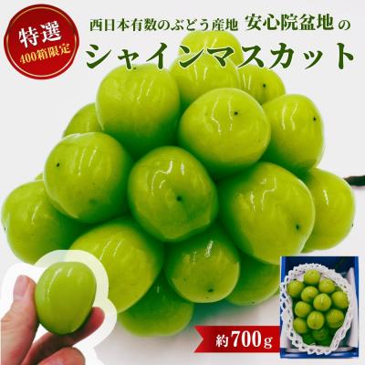 ふるさと納税 宇佐市 <2026年発送>特選シャインマスカット700g[106300201][大分県農協北部エリア]