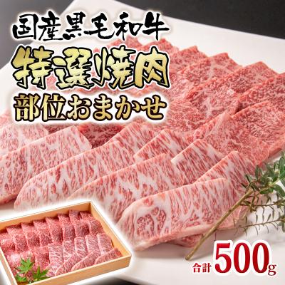 ふるさと納税 西都市 [世界グランプリ受賞]黒毛和牛おまかせ特選焼肉500g(モモ・バラ・ロース等)牛肉[2820]