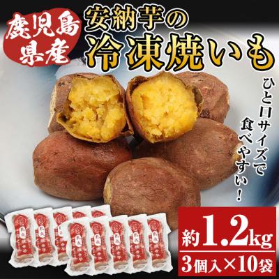 ふるさと納税 いちき串木野市 鹿児島県種子島産冷凍焼き芋(安納芋)一口サイズ約1.2kg