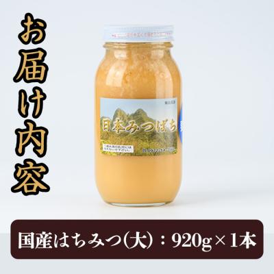 ふるさと納税 佐伯市 国産 はちみつ (920g) 多賀さん採蜜の画像