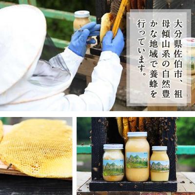ふるさと納税 佐伯市 国産 はちみつ (920g) 多賀さん採蜜の画像