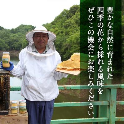 ふるさと納税 佐伯市 国産 はちみつ (920g) 多賀さん採蜜の画像