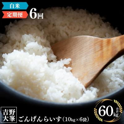 ふるさと納税 吉野町 [定期便]奈良のお米のお届け便 10kg×6回分 白米