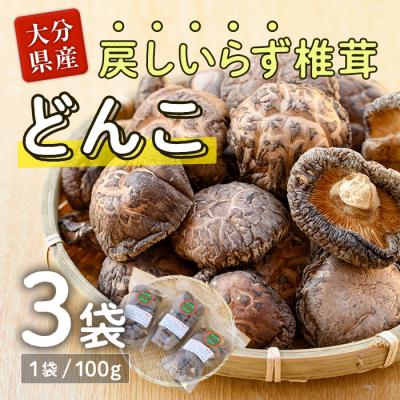 ふるさと納税 佐伯市 戻しいらず椎茸どんこ3袋 (計300g・100g×3袋)