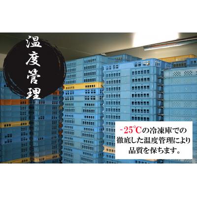 ふるさと納税 江府町 生ずわいがに 冷凍カット済み 約1kg かに ズワイガニ むき身 蟹 1キロ 0959｜y-sf｜04