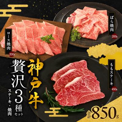 ふるさと納税 加西市 神戸牛 贅沢セットC 計850g 焼肉用ロース バラ ももステーキ [No5698-1279]