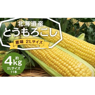 ふるさと納税 京極町 北海道産とうもろこし(恵味) 2Lサイズ 11本 約4kg