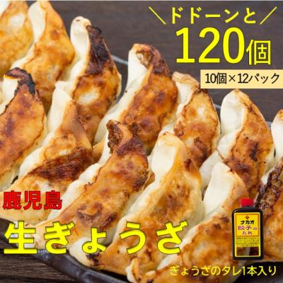 ふるさと納税 薩摩川内市 鹿児島生ぎょうざ120個セット(10個×12パック) 餃子のたれ付き AS-737