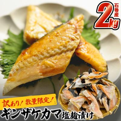 ふるさと納税 石巻市 [数量限定]石巻で養殖したギンザケのカマ(塩麹漬け)2kg [ 訳あり ]