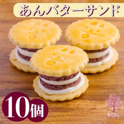 ふるさと納税 高原町 ケーキハウスくるみの里のあんバターサンド 10個