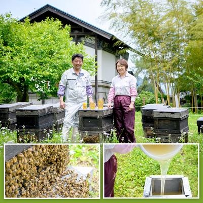 ふるさと納税 仙北市 国産 秋田県産はちみつ 百花蜜 500g×3本 合計1.5kg|02_tyj-160301の画像