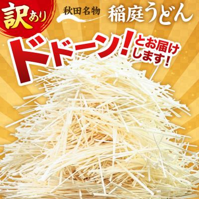 ふるさと納税 仙北市 《定期便2ヶ月》訳あり 短麺含む 稲庭うどん 800g×12を2回|02_ikd-111202_1