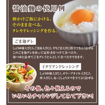 ふるさと納税 碧南市 【無添加 生米麹】肥料不使用の自然栽培米のみで作った米麹300g×10袋　H140-024 
