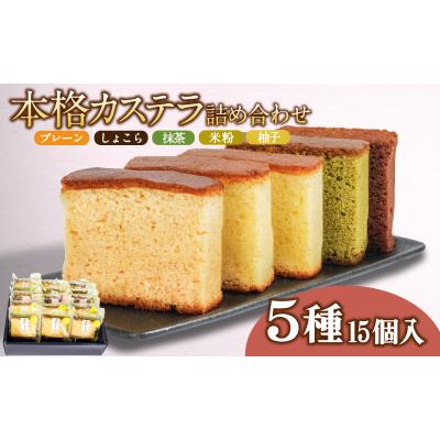 ふるさと納税 小松島市 カステラ 詰め合わせ 5種 15個 入り 個包装 本格 和菓子 焼き菓子 贈答用