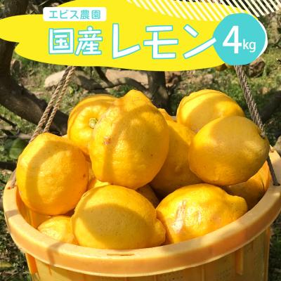 ふるさと納税 呉市 [2025年12月上旬〜発送]皮まで美味しい!オーガニックレモン 約4kg ku026-002-25